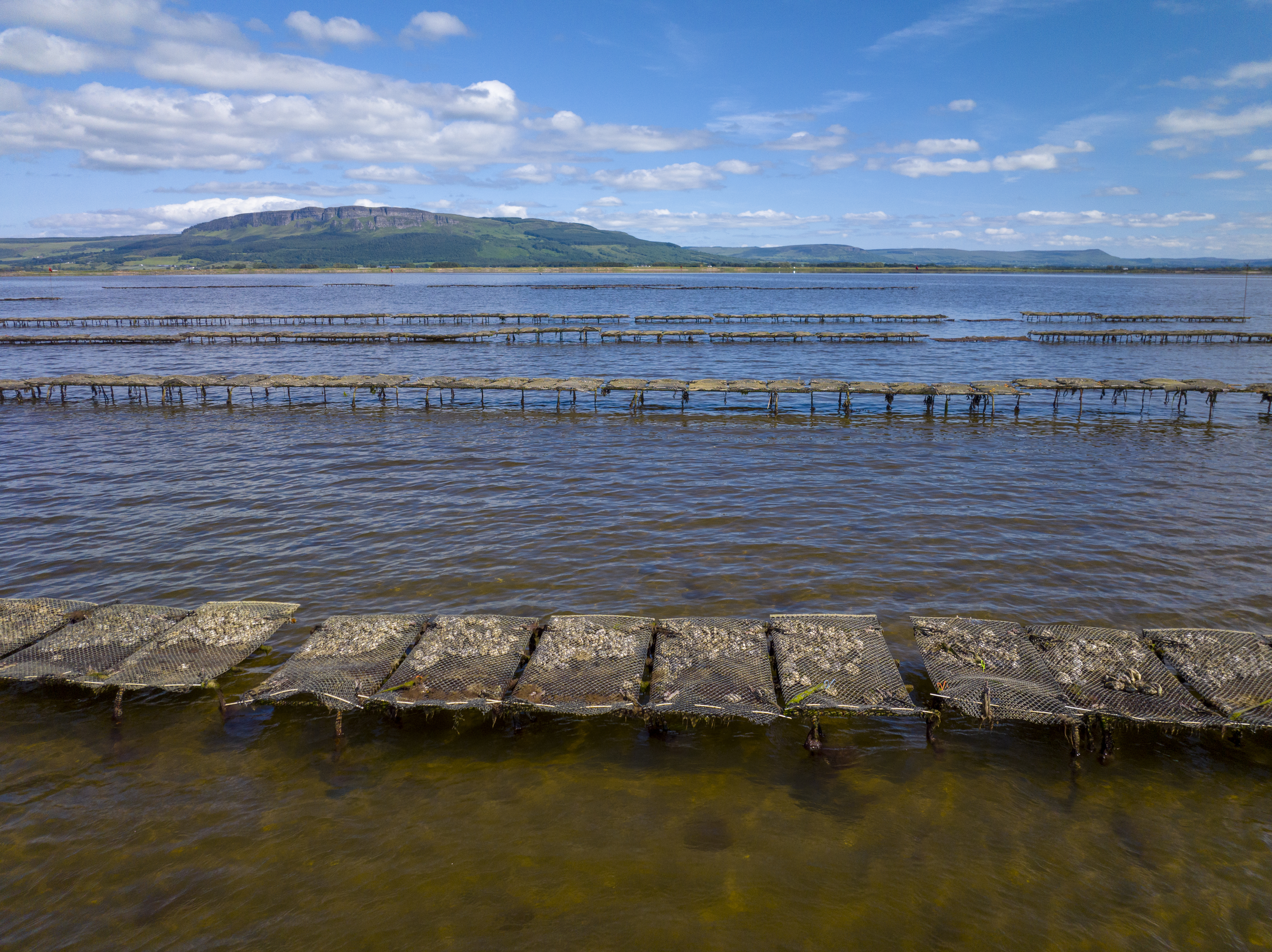 full-trestles