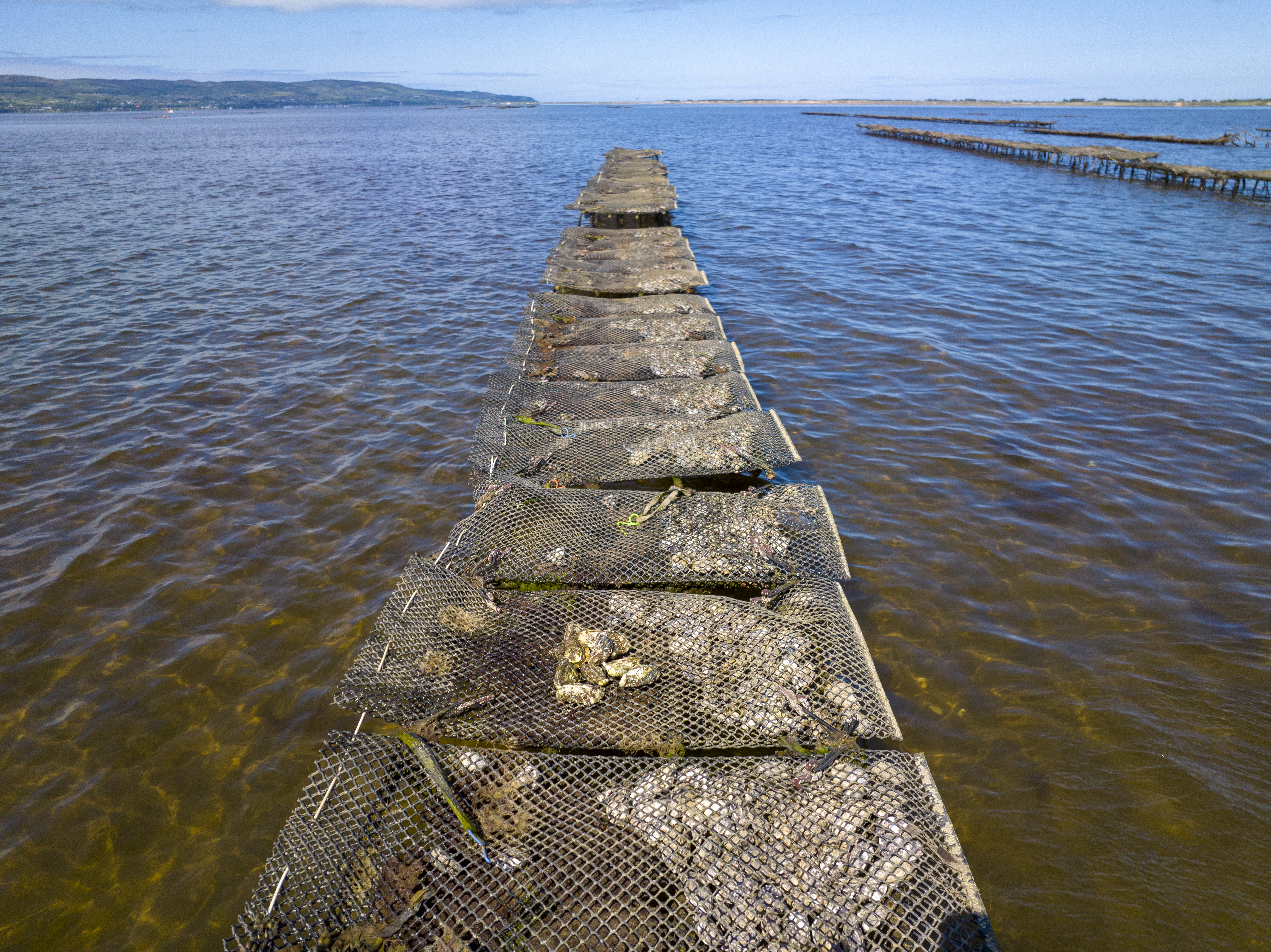 line-trestles